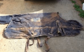 dirty-horse-rug-ready-to-go-in-the-washing-machine